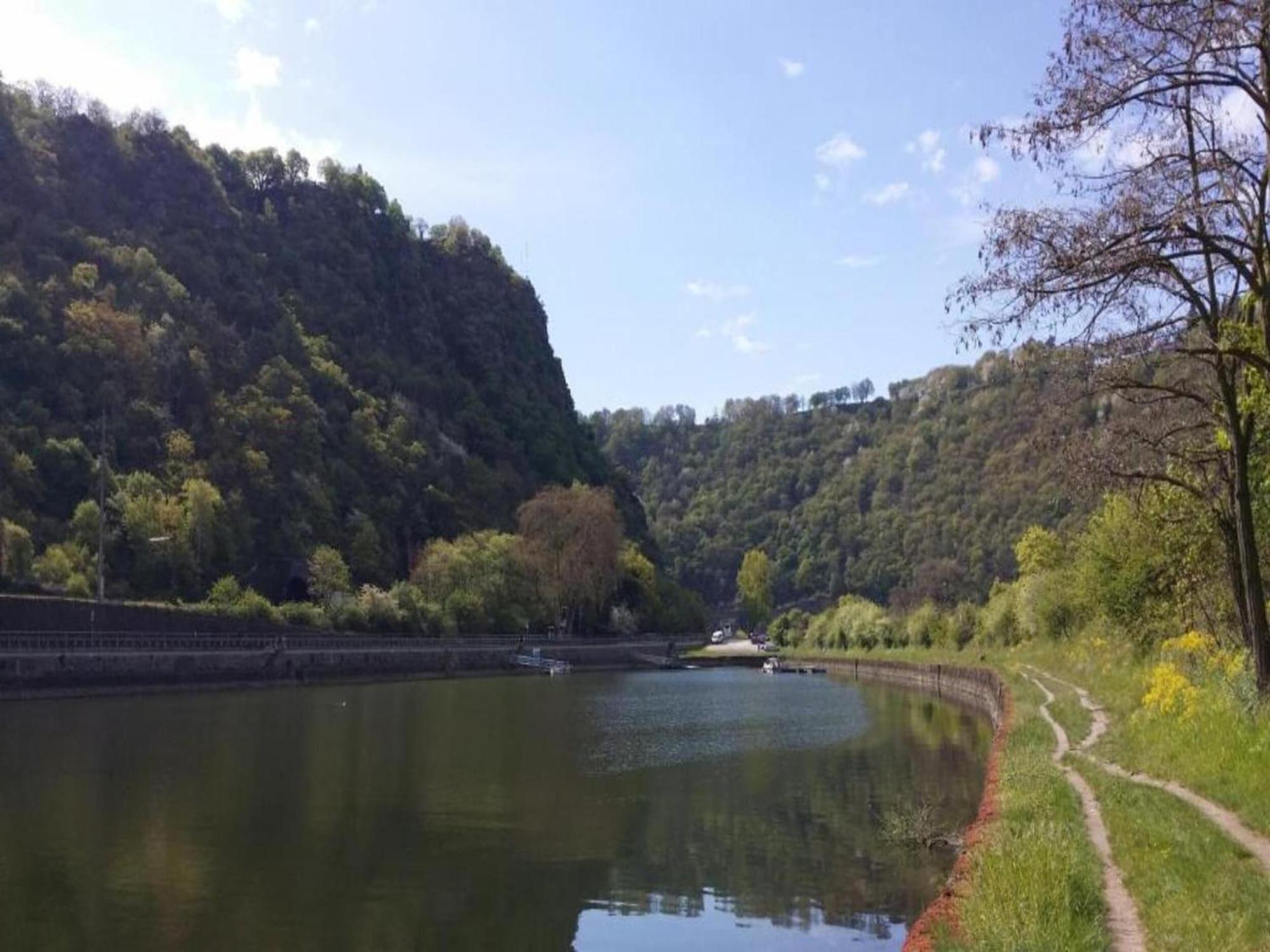 Cosy Holiday Home In Sankt Goarshausen With Barbecue エクステリア 写真